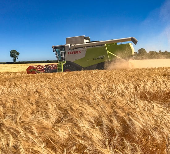 'Next harvest could be a different story than this year on prices'