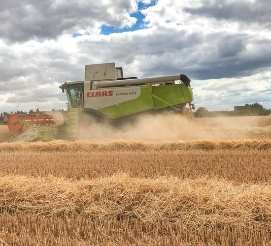 Glanbia announces 2020 grain prices