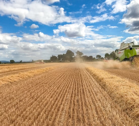 Glanbia sets out plans for grain following discussions