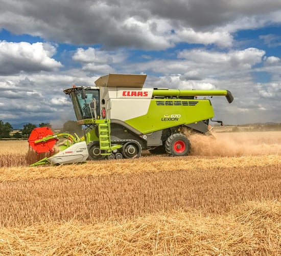 Glanbia to double area of gluten-free oats