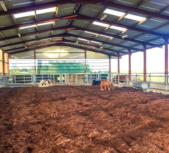 Is there value in alternative bedding options?