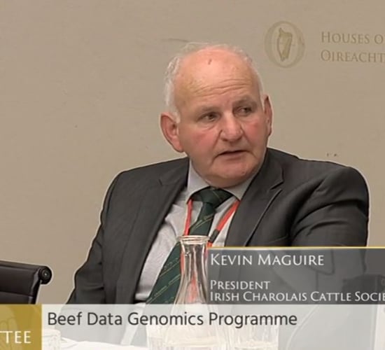 Irish man elected president of the Charolais International Congress