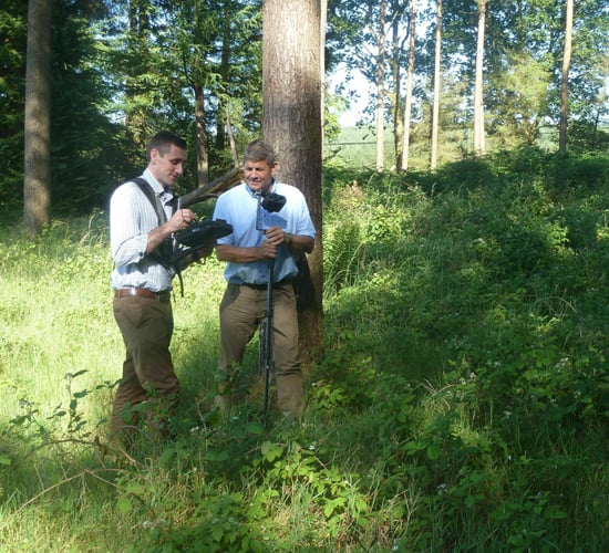 National forest estate reaches 11% of the total land area