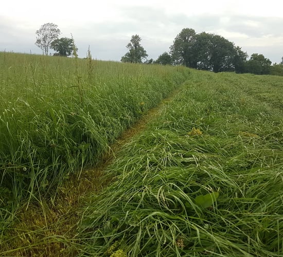 Teagasc to host 'Quality Silage Demo' open day in Urlingford