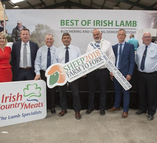 Technology transfer takes top priority at Teagasc SHEEP 2018