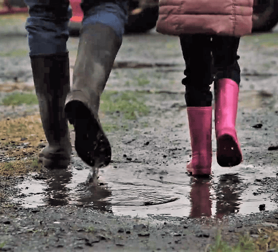 Most applications for Farm Safety Measure from Donegal