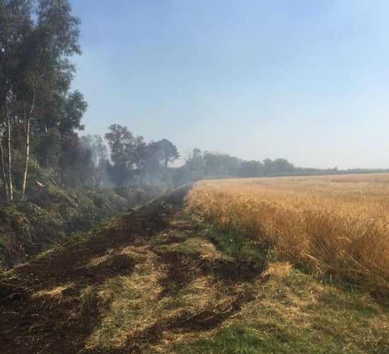 Fire breaks set up to protect 50ac corn field from fire