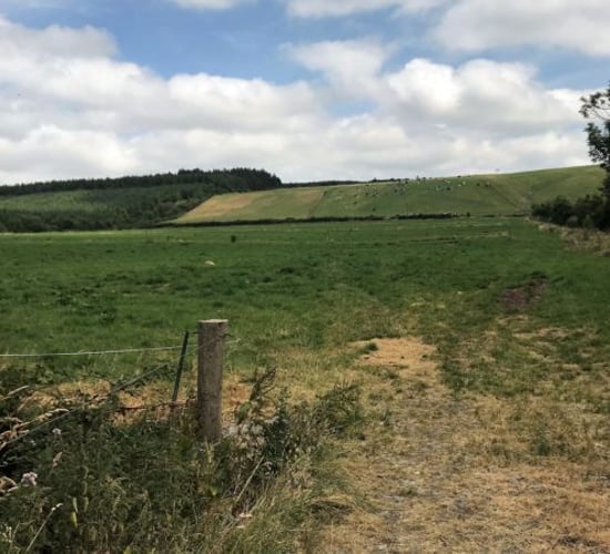 National drought warning extended by Met Eireann