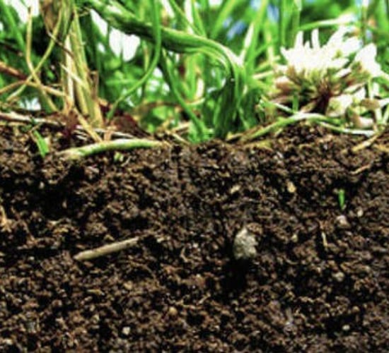 Our soils are depleting faster than they can be regenerated