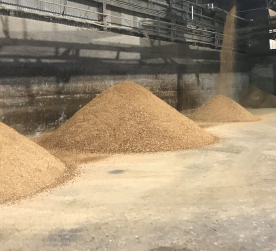 Feed supply issues coming down the line