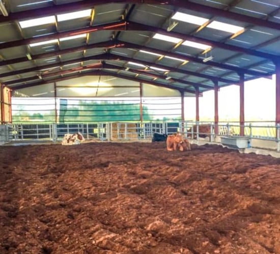 BNM to expand into peat bedding market