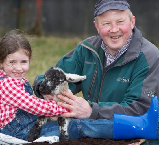 Local producers showcased at SHEEP 2018