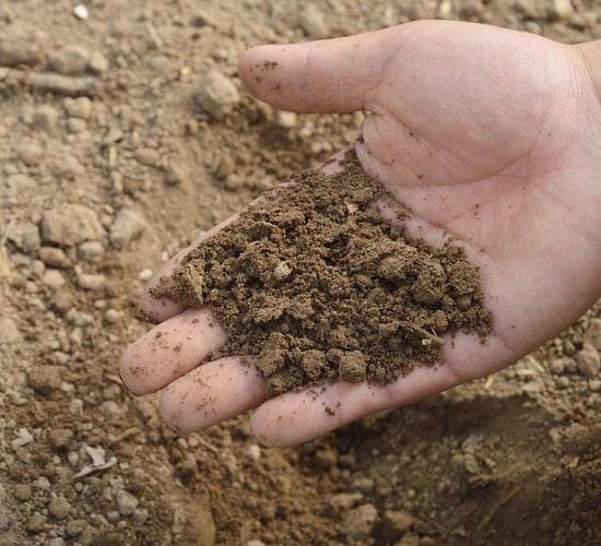 Soil moisture deficits set to improve slightly