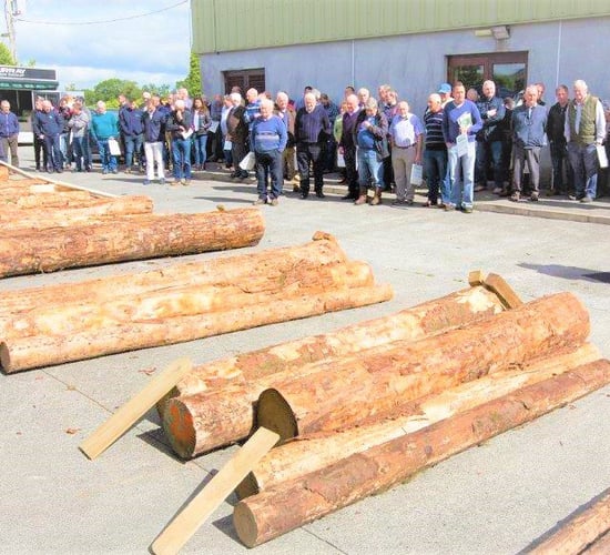 Log and timber quality: The focus at Talking Timber 2018