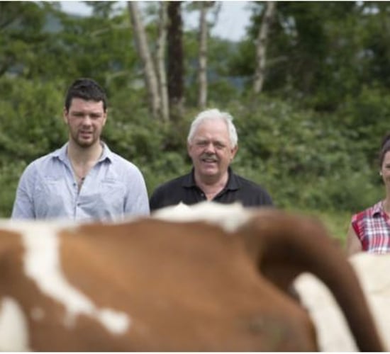 Dairy focus: French flair, growing numbers and making money from bull calves