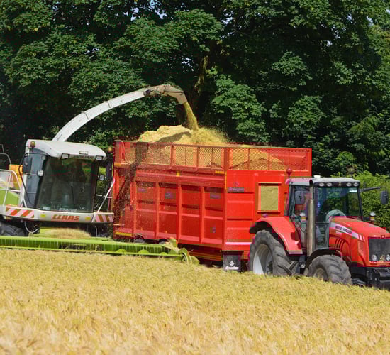 Wholecrop silage: An option for livestock and tillage farmers?