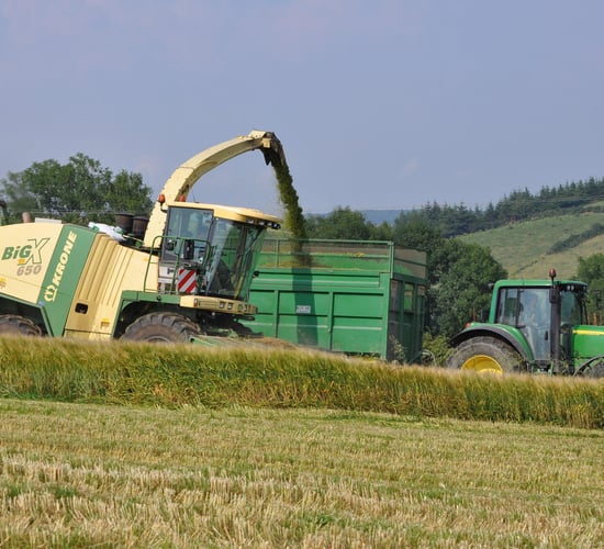 Putting a value on standing cereal crops for wholecrop silage