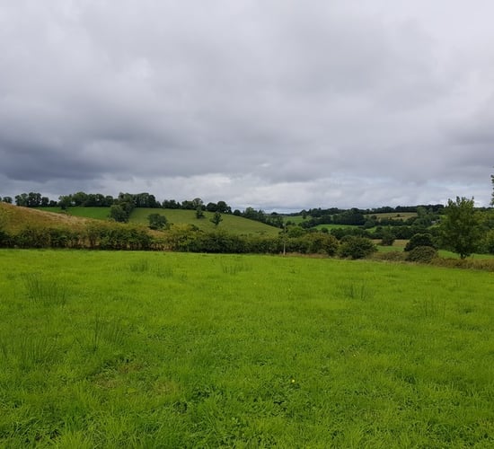 'Choice quality' agricultural land in a convenient roadside location in Breandrum