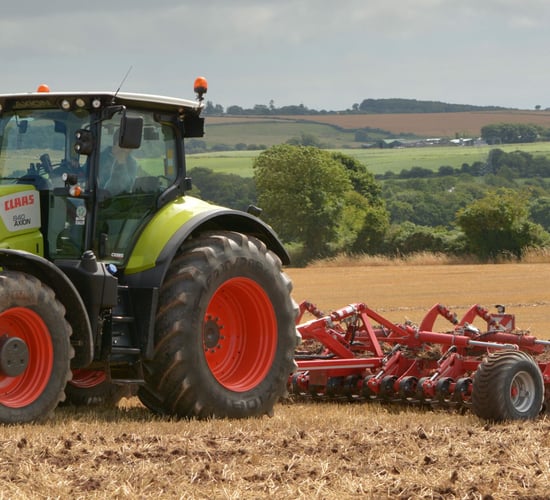 Forage crops: All you need to know in one spot