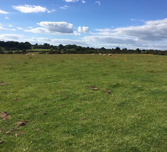 Heydon accused of being 'out of touch' when it comes to ACRES