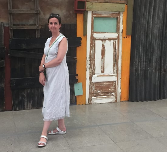 Co. Kilkenny artist reels in the reality of the 'new rural'