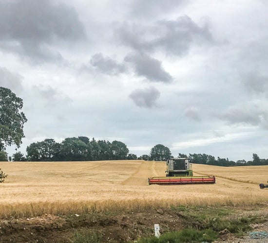 Tillage focus: Sowing forage crops for dairy farmers