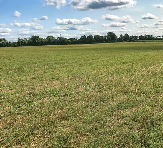 ICSA calls for catch crops scheme for tillage farmers