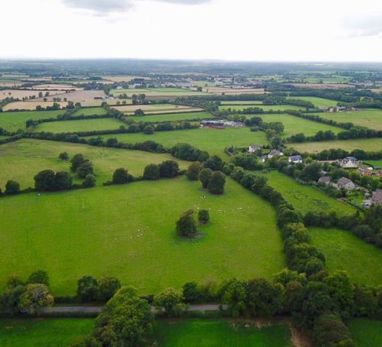 32ac sale encourages a repair to The Curragh of Kildare