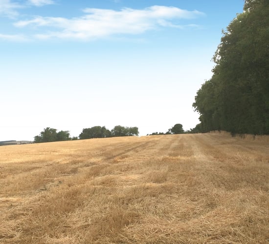 Weather: Mostly settled and dry conditions this week