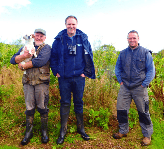 Agri-environment scheme benefits bird species on NI farms