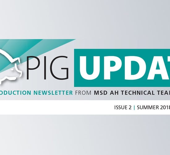 Pig Update available to read online