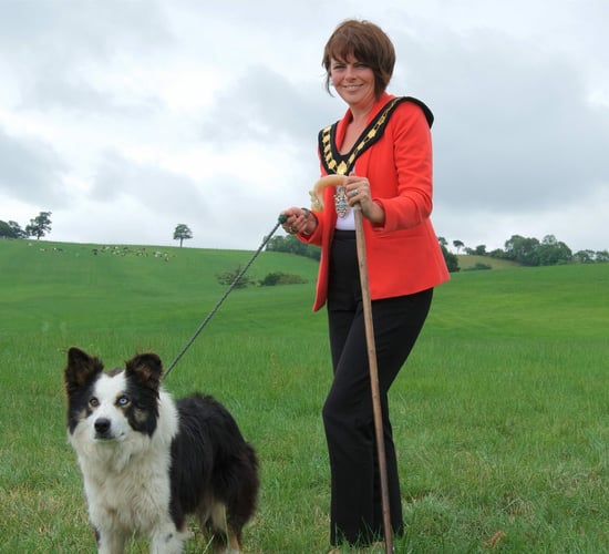 Dromore gears up for International Sheepdog Trial 2018