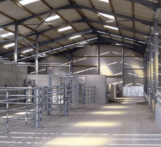 IFA urges approval of TAMS applications at Charter of Rights meeting