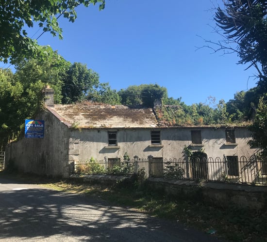 Dundalk holding with derelict house for sale attracts cross-border interest