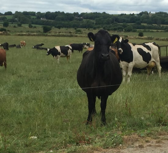 'Expansion plans will be challenged if farmers aren't getting the necessary returns'