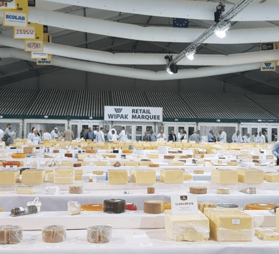 'The big cheese': Dairygold reels in 8 International Cheese accolades