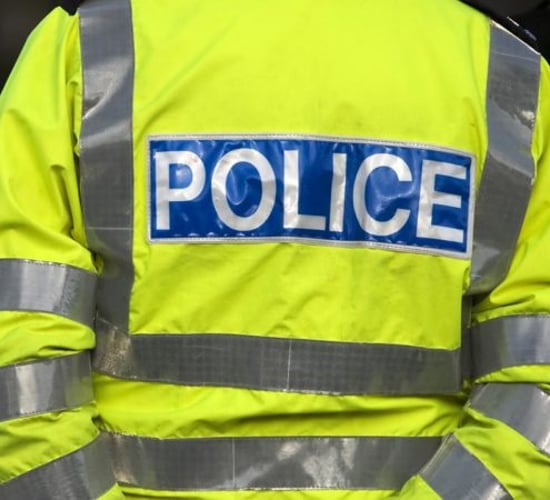 43 Scottish Blackface hoggets stolen in Derry