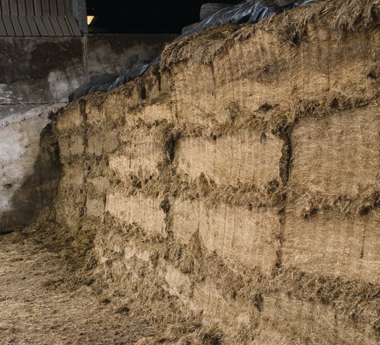 Silage pits - 'Potentially dangerous' heights putting workers at risk say HSA & FCI