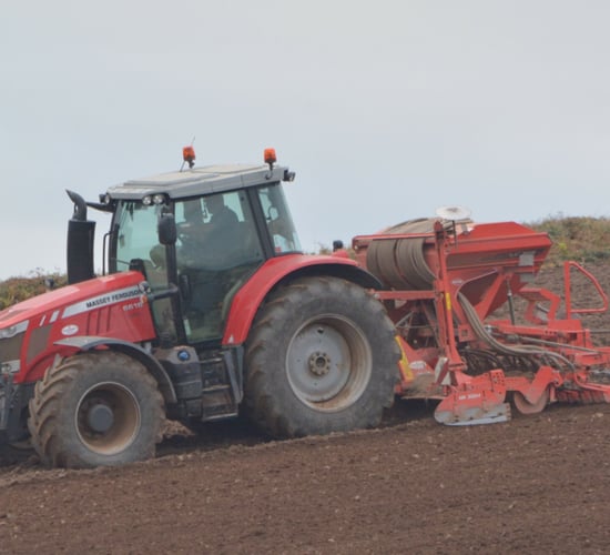 Tillage: Should growers continue with seed already purchased?