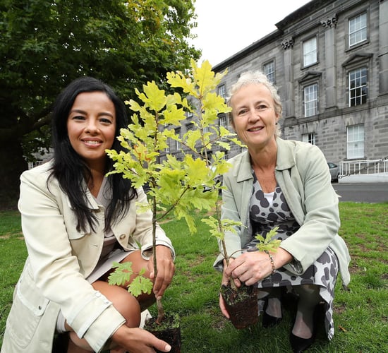 Coillte launches BioClass system for biodiversity sites