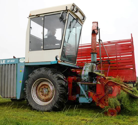 Pics: 'Old-school' machinery at Autumn Harvest event in Co. Cork