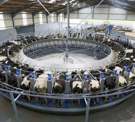 'We only need 2 dairy processors' - leading food analyst