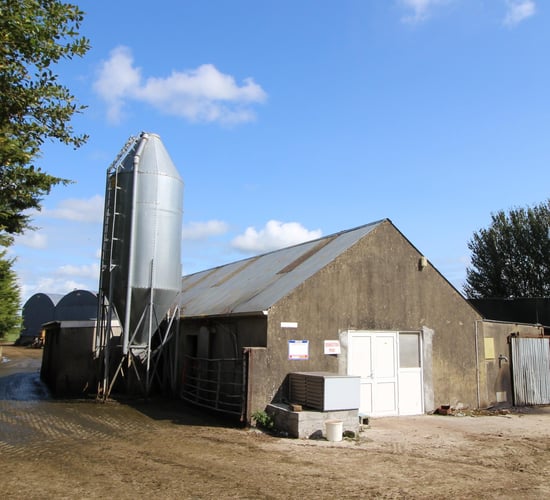 Farm building development could come to halt in NI - UFU