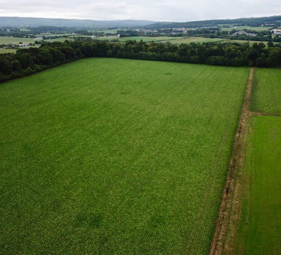 Consultation on 'armchair farmers' due in autumn - minister