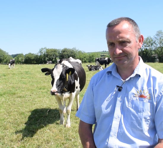 Robotic milking the first GEA Monobox in Northern Ireland