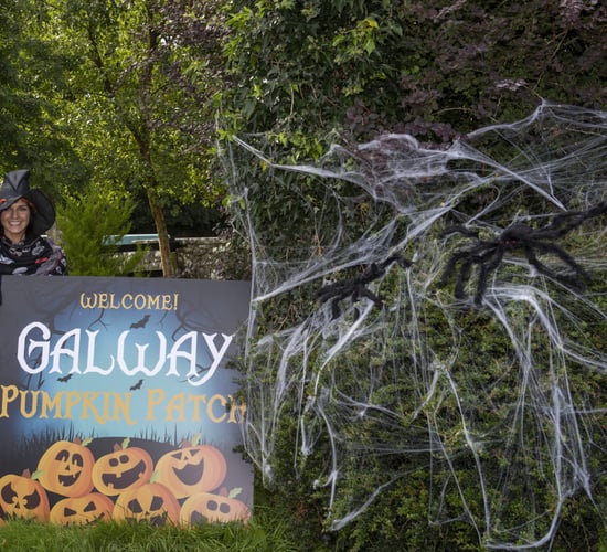Galway woman creates pumpkin patch on family farm