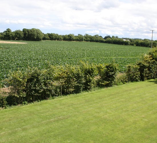 15.55ac Ratoath holding provides 'excellent' road frontage