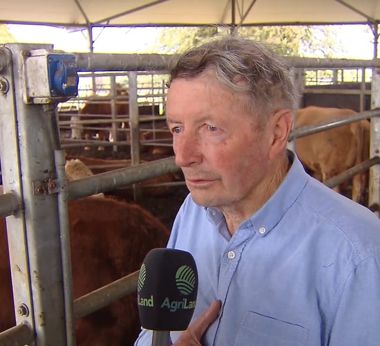 Beef farmers 'barely hanging in' following 'unreasonable' price cuts