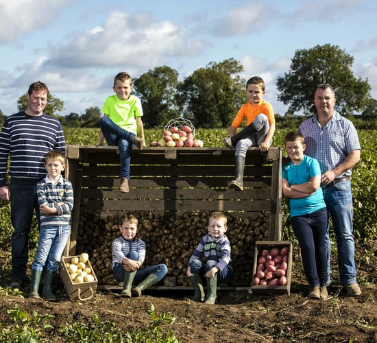 Spuds up: Bord Bia gears up for National Potato Day 2018