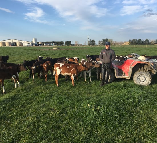 'Life on a 2,500-cow dairy farm is hectic': Waterford woman